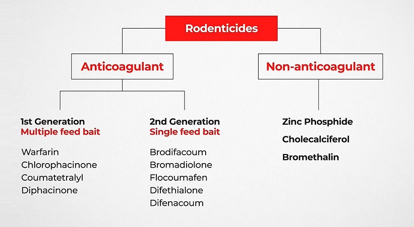 Understanding the different types of rodenticides