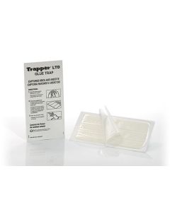 Trapper LTD Mouse and Insect Glue Board (Carton of 72)
