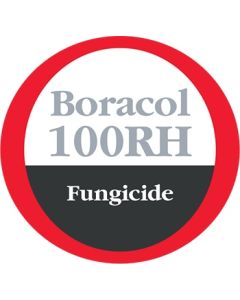 Boracol 100RH Building Materials Fungicide 20L